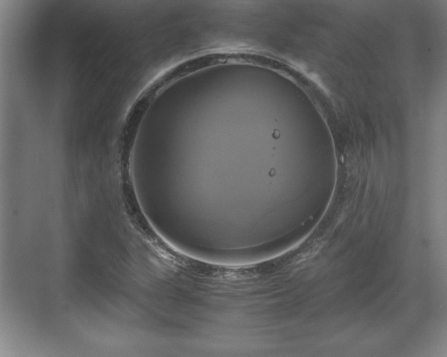 X0000071781311200607071419