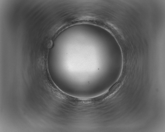 X0000071781313200607071419