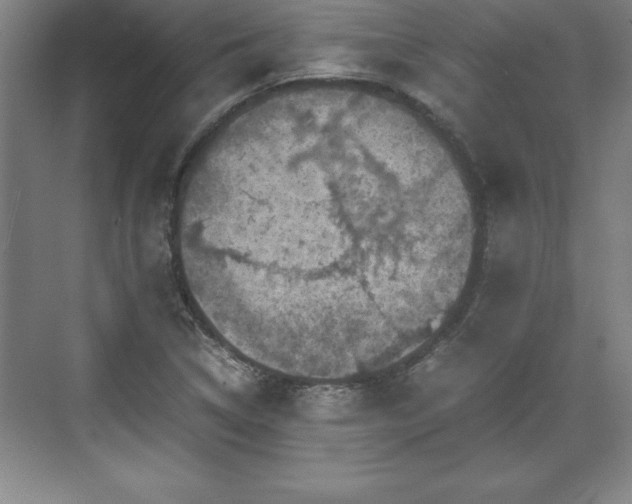 X0000071781314200607071419