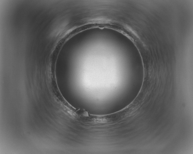 X0000071781315200607071419