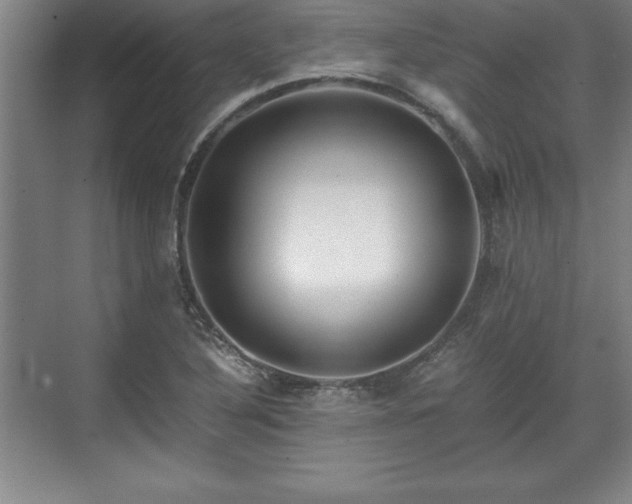 X0000071781316200607071419