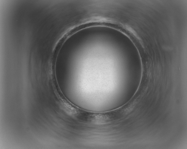 X0000071781318200607071419