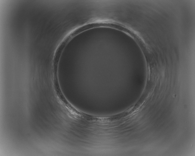 X0000071781319200607071419