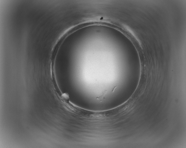 X0000071781320200607071420