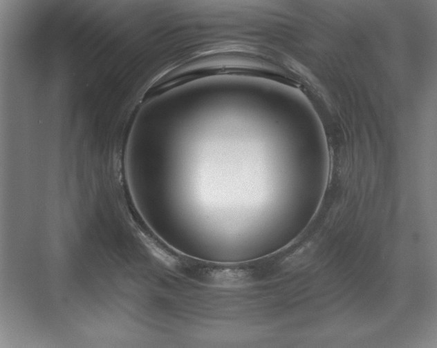 X0000071781321200607071420