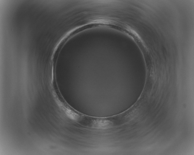 X0000071781323200607071420