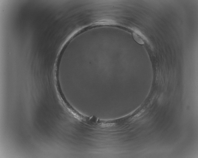 X0000071781325200607071420