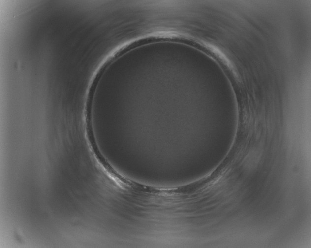 X0000071781327200607071420