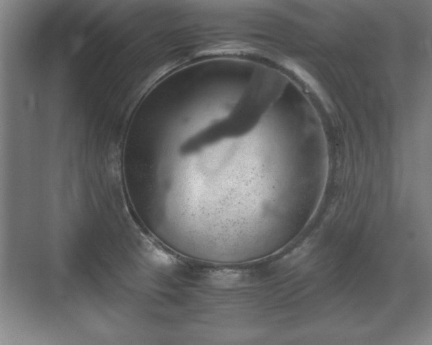 X0000071781329200607071420