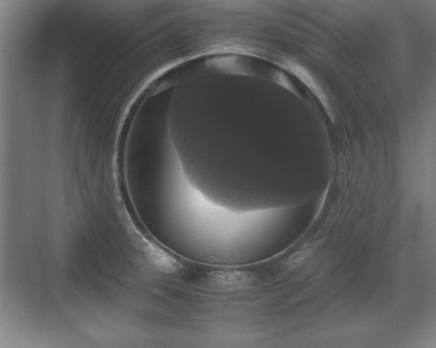 X0000071781331200607071420