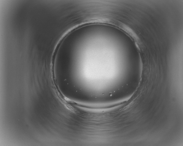 X0000071781332200607071420