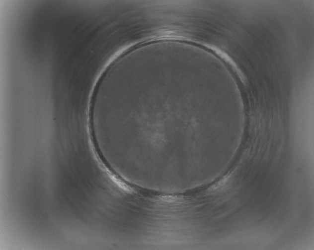 X0000071781333200607071420