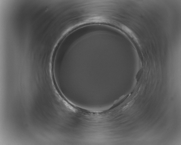 X0000071781334200607071420