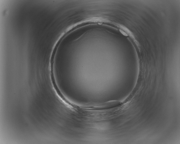 X0000071781335200607071420