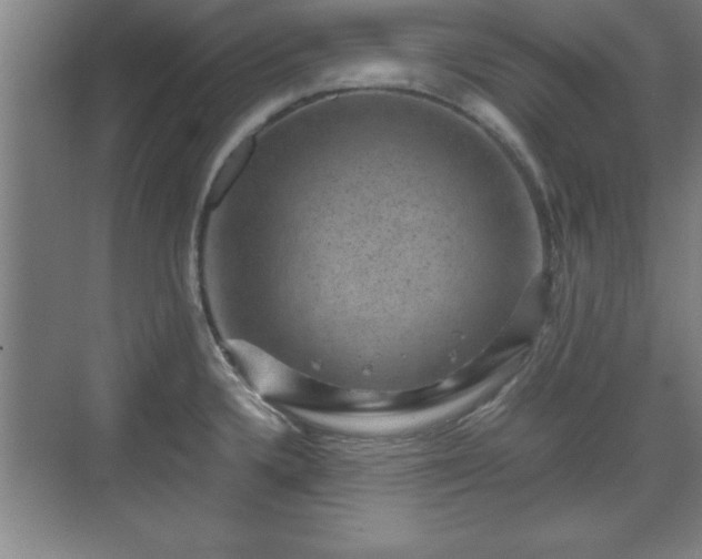 X0000071781336200607071420