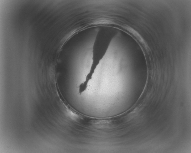 X0000071781337200607071420