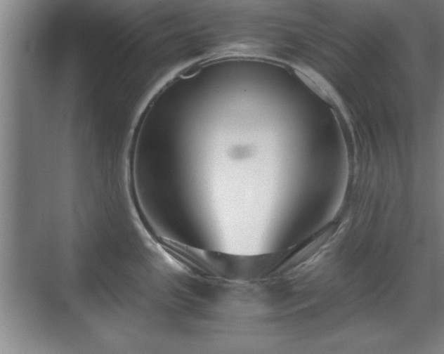 X0000071781341200607071420