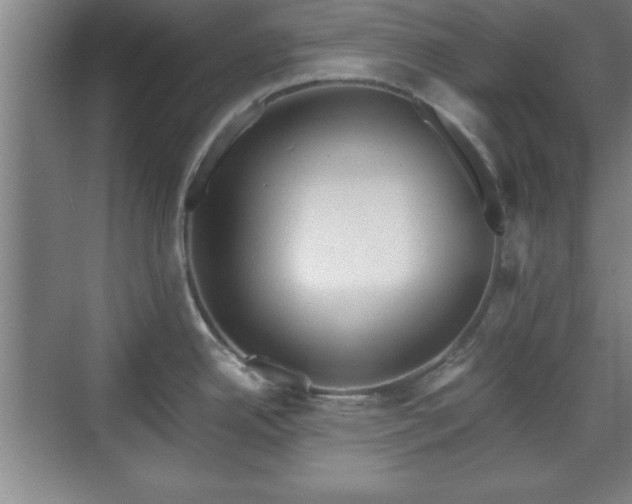 X0000071781342200607071420