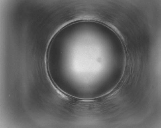 X0000071781343200607071420