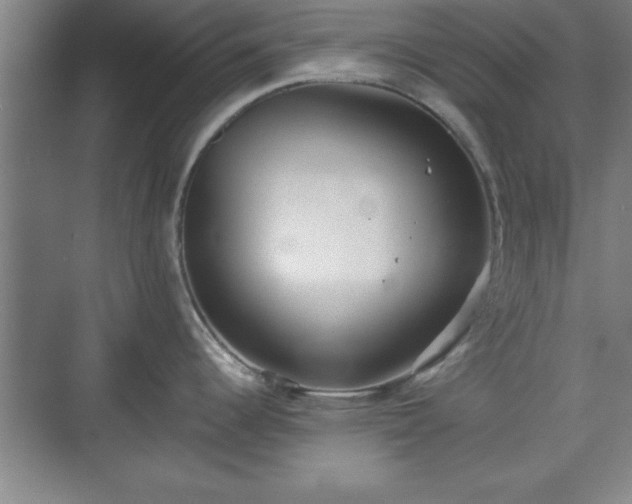 X0000071781344200607071420