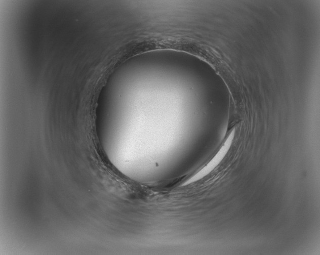 X0000071781345200607071419