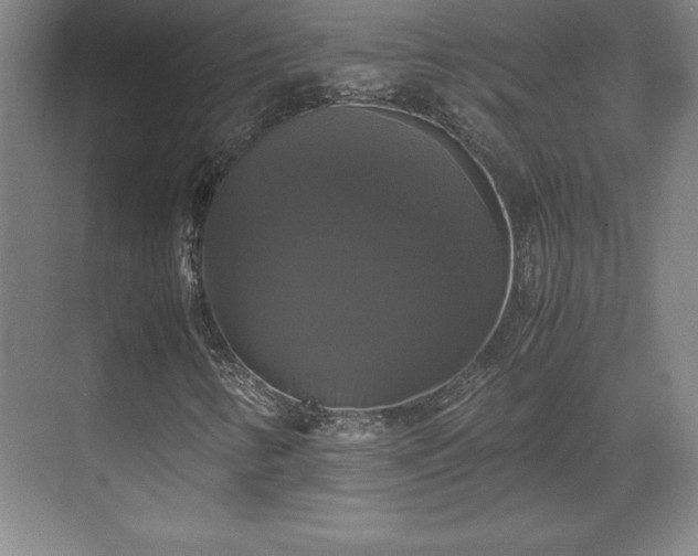 X0000071781346200607071419