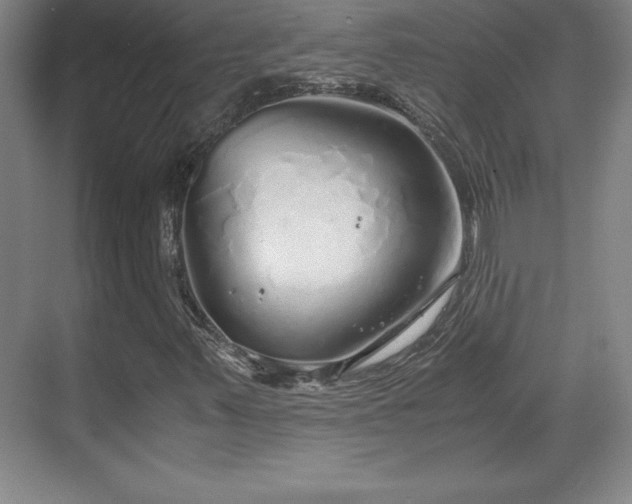 X0000071781347200607071419