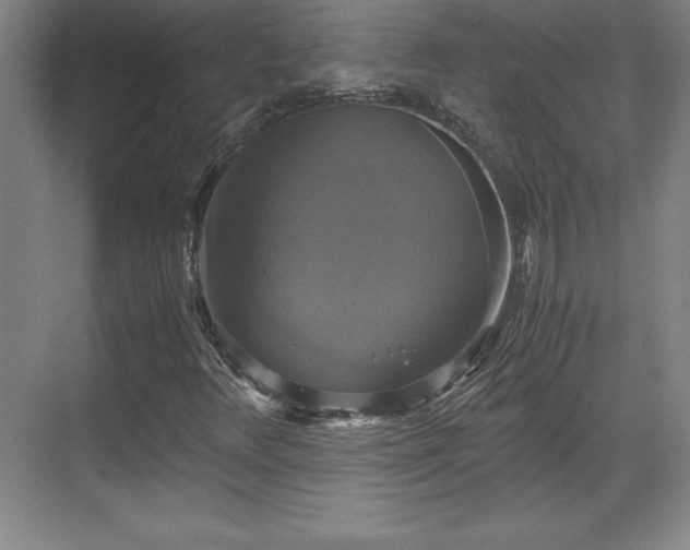 X0000071781348200607071419