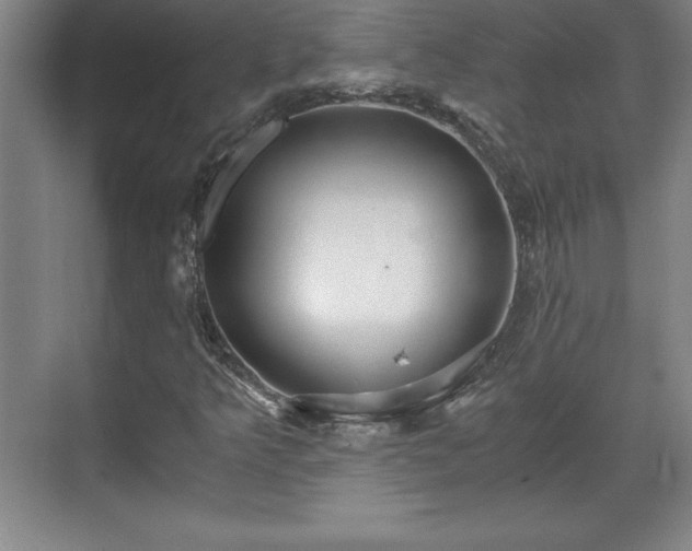 X0000071781349200607071419