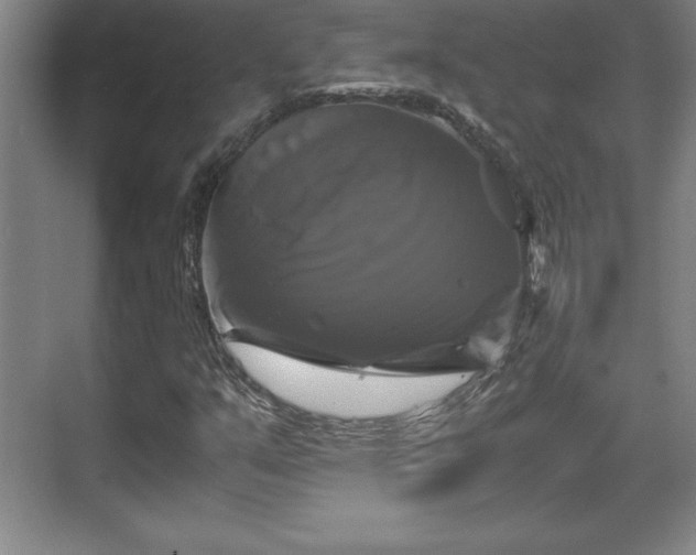 X0000071781351200607071419