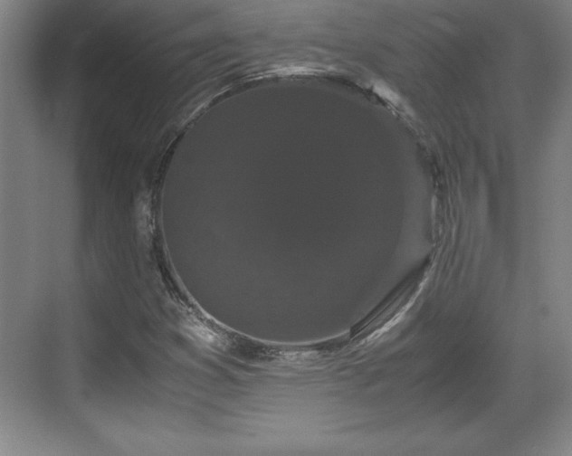 X0000071781353200607071419