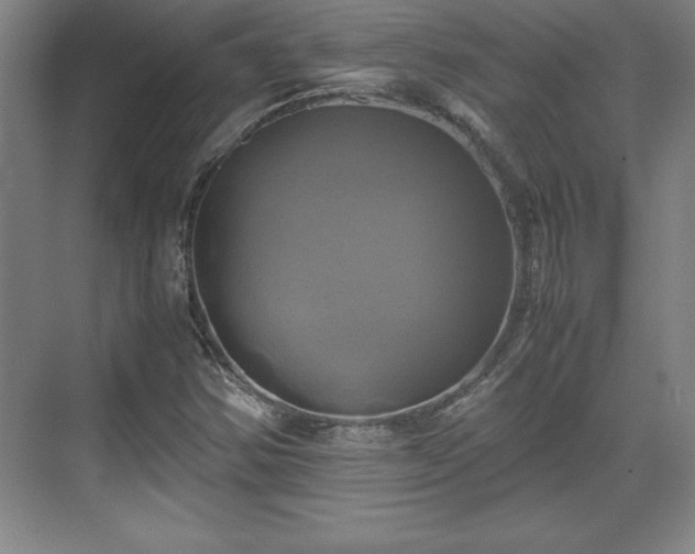 X0000071781354200607071419