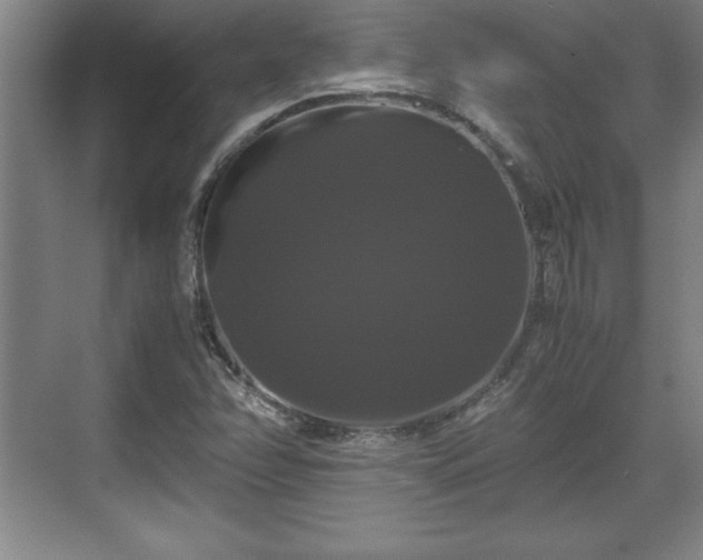 X0000071781358200607071419