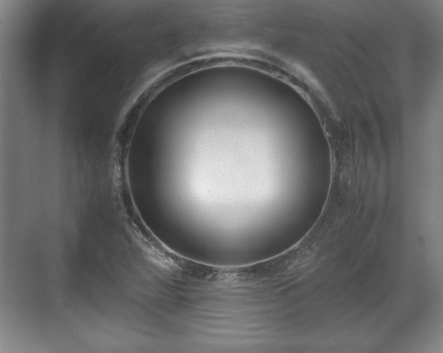 X0000071781360200607071419