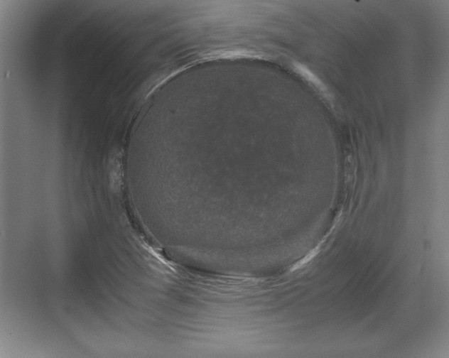 X0000071781361200607071419