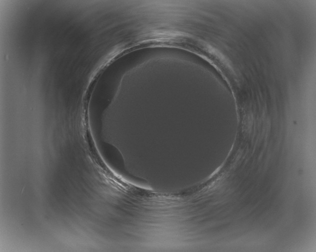 X0000071781362200607071419