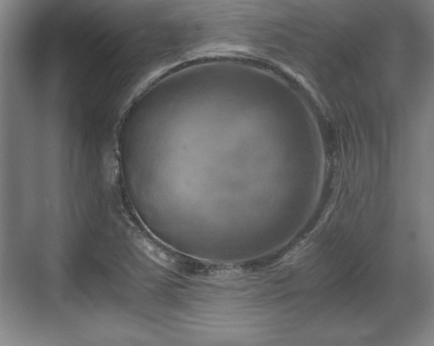 X0000071781363200607071419