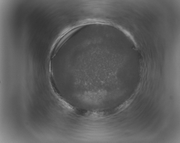 X0000071781365200607071419