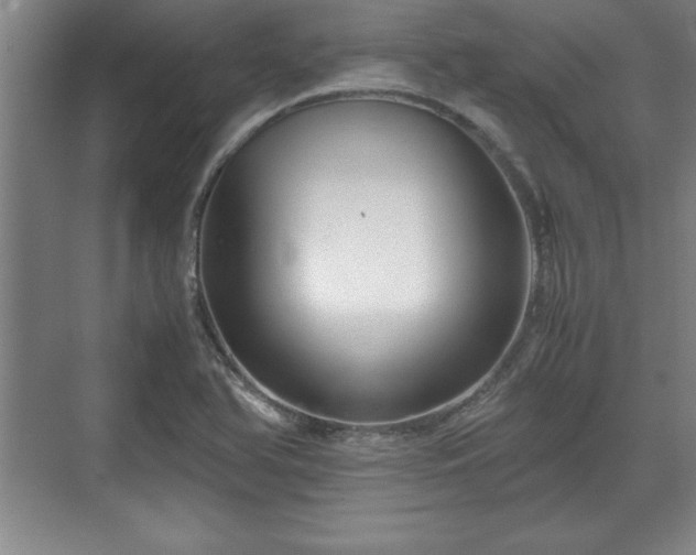 X0000071781366200607071419