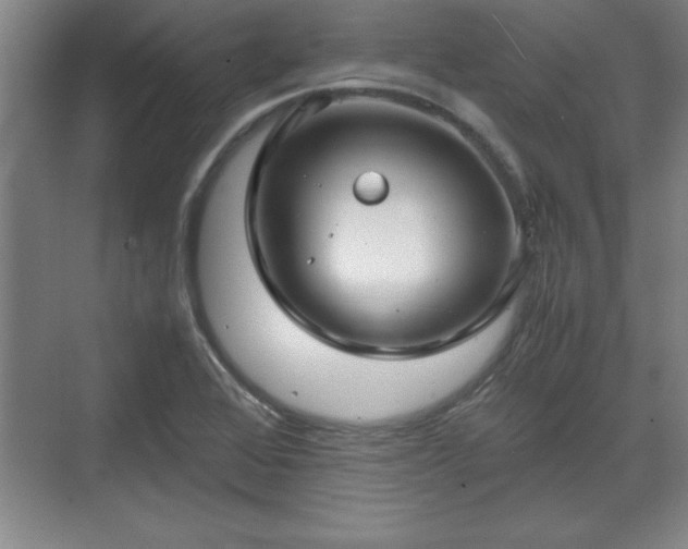 X0000071781368200607071419