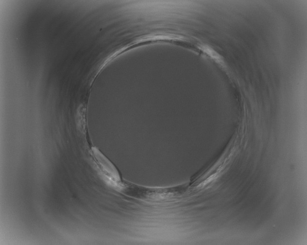 X0000071781369200607071419