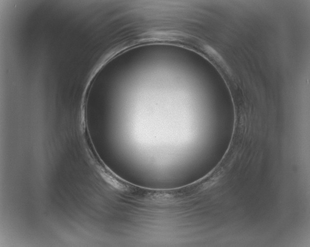 X0000071781370200607071419