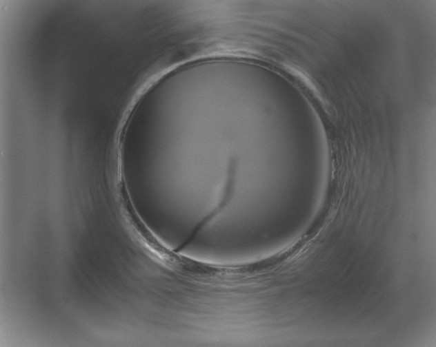 X0000071781371200607071419