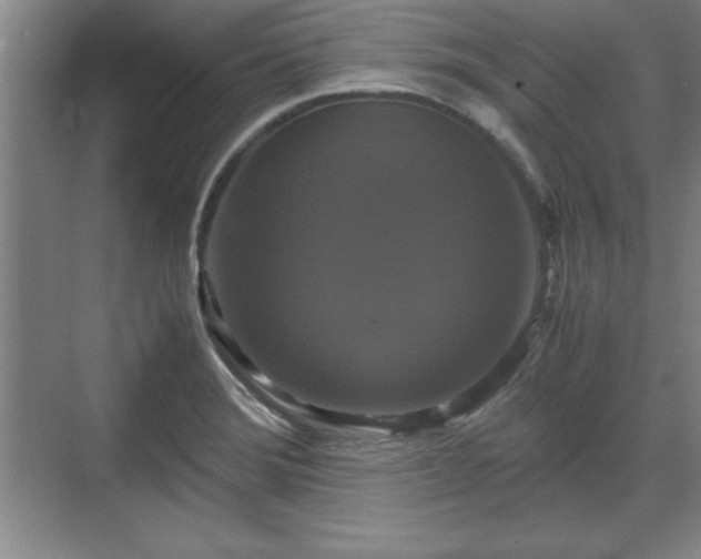 X0000071781372200607071419