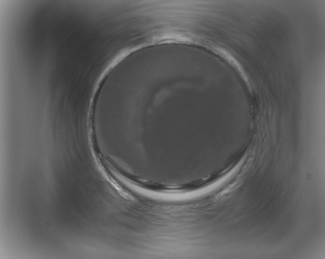 X0000071781373200607071419