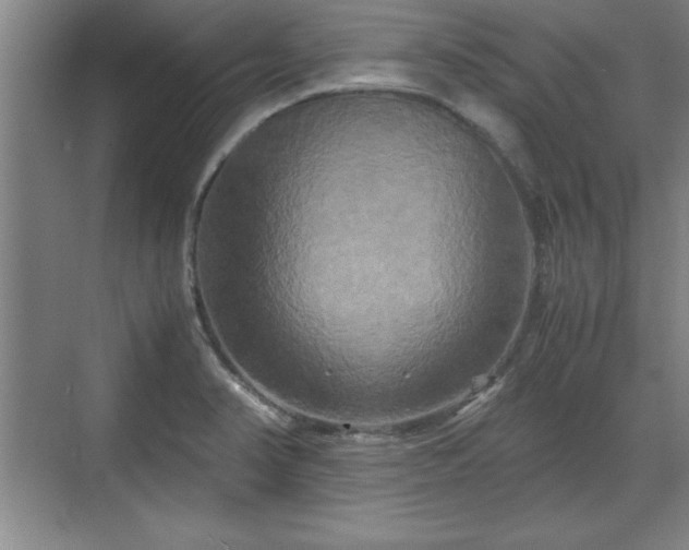 X0000071781374200607071419