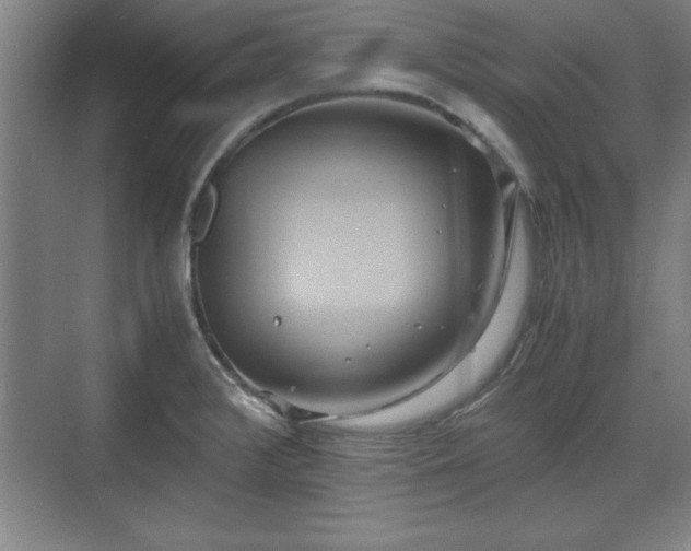 X0000071781376200607071419