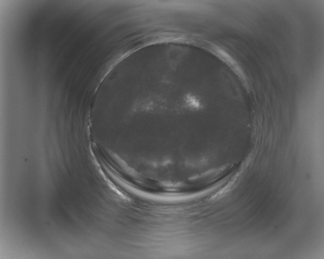 X0000071781377200607071419