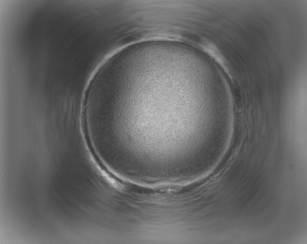 X0000071781379200607071419