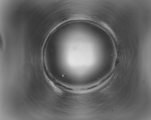 X0000071781380200607071419